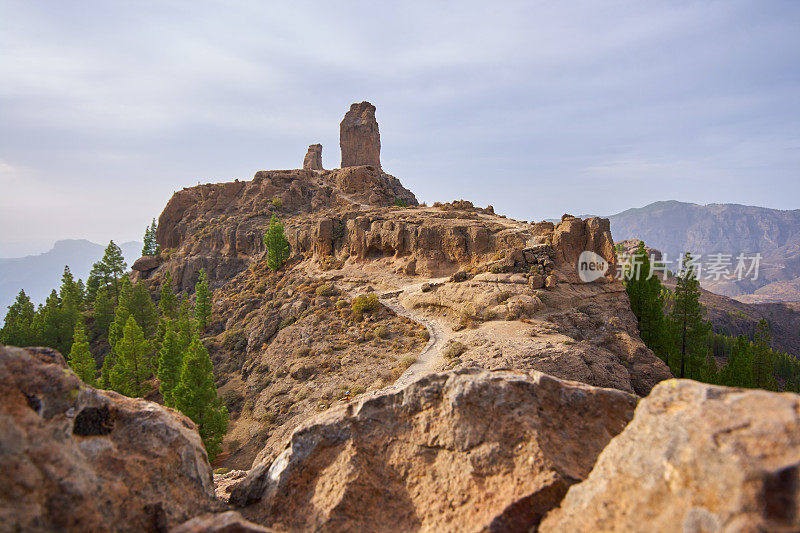 Roque Nublo - 大金丝雀